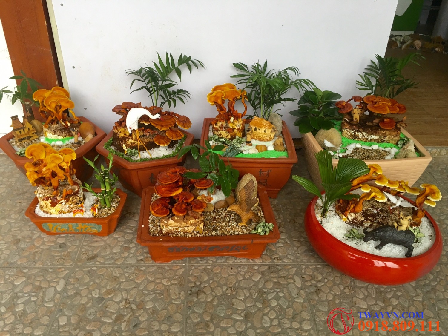 qua tet doc dao 2016 nam linh chi 1