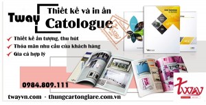 In Catalogue, Brochure