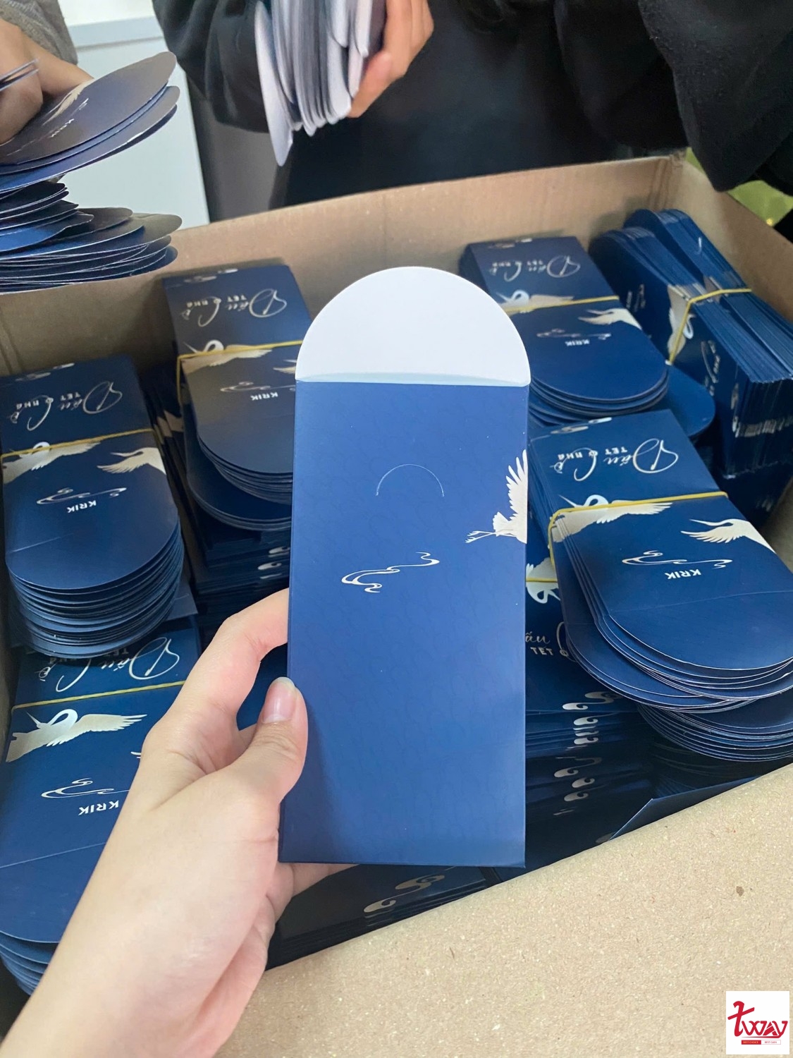 mau-li-xi-sang-trong