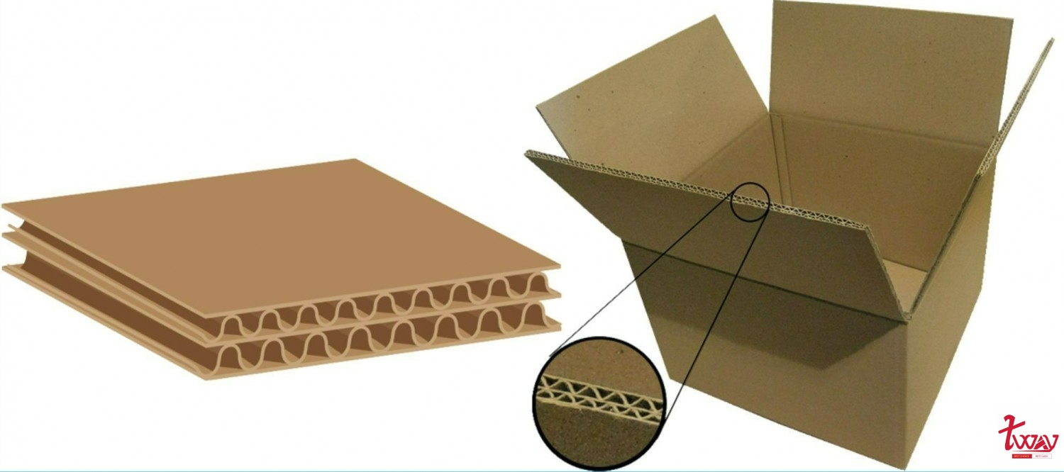 THUNG_CARTON_5_LOP_SONG